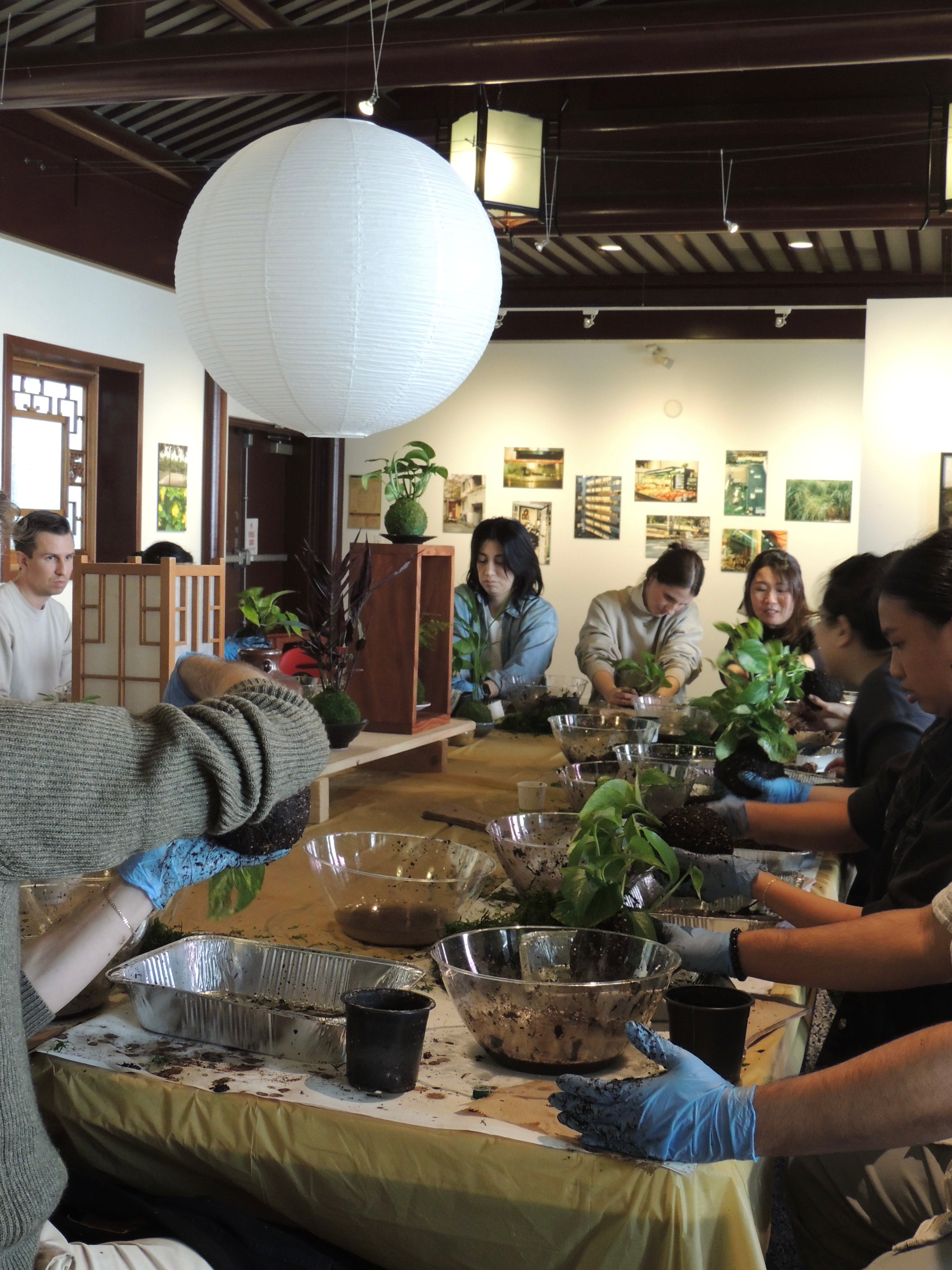Kokedama Workshop