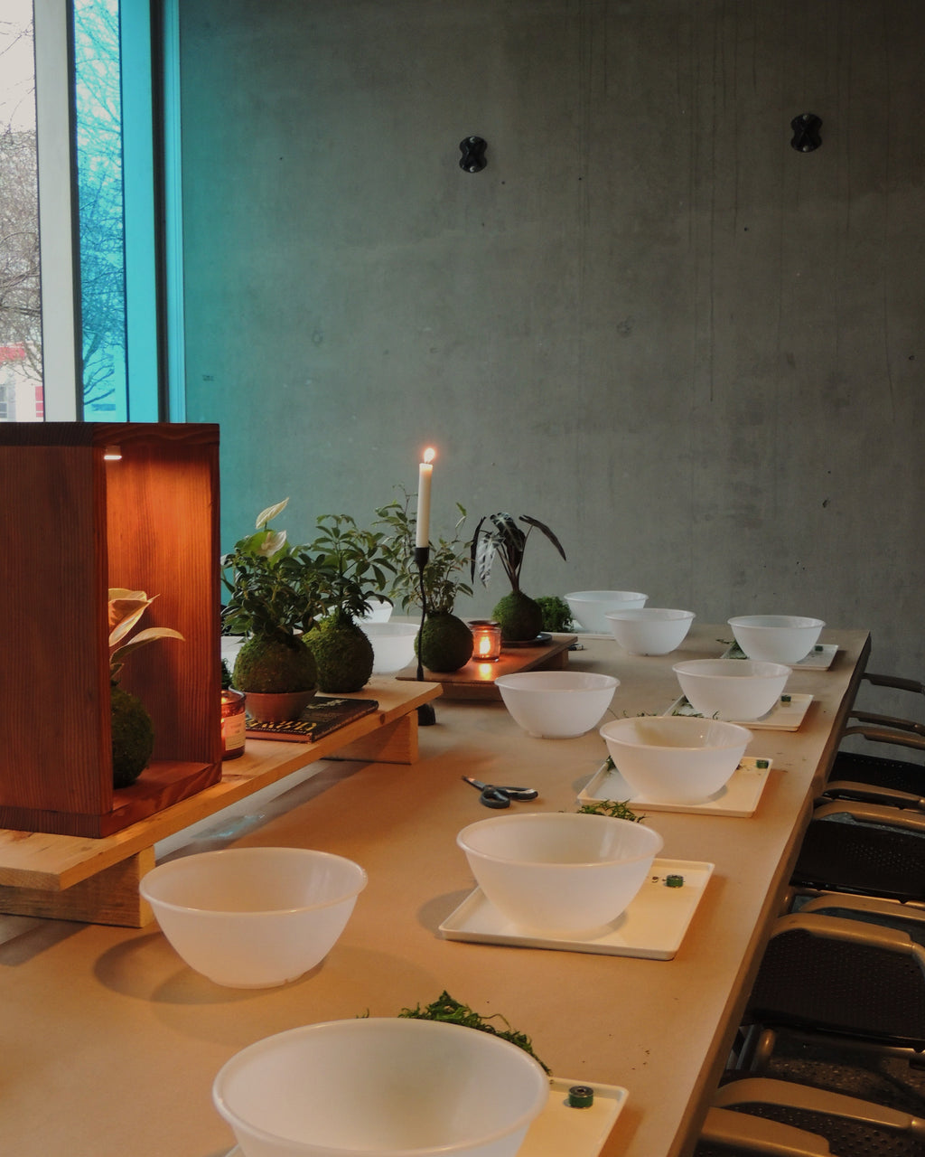 Kokedama Workshop